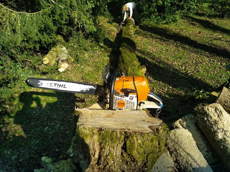 Prix élagage arbre en Normandie : tarifs 2026 et devis