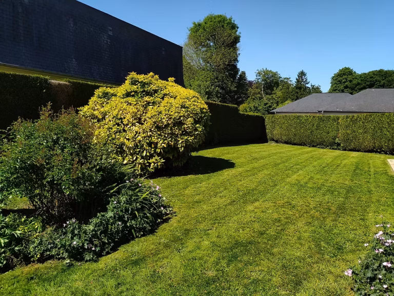 Tonte de pelouse par Dandrobate en Haute-Normandie