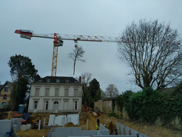 Démontage d&rsquo;arbre dangereux à Rouen : technique et sécurité